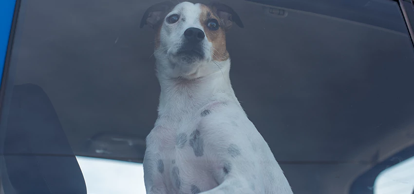 Car Lockout Solutions in Willowbrook, California